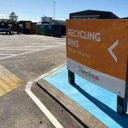 RECYCLING BINS