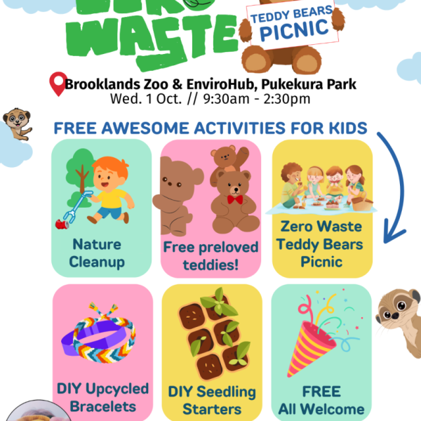Zero Waste Teddy Bears Picnic
