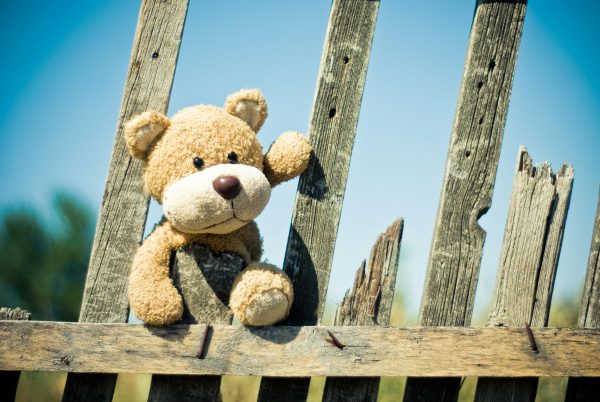 Zero Waste Teddy Bears Picnic - Image 2