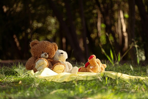 Zero Waste Teddy Bears Picnic - Image 3